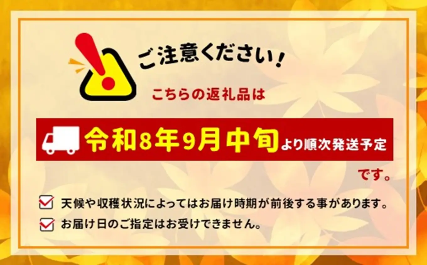 八ヶ岳西麓産 ナガノパープル 2房（計1kg以上）【2026年9月中旬～発送】