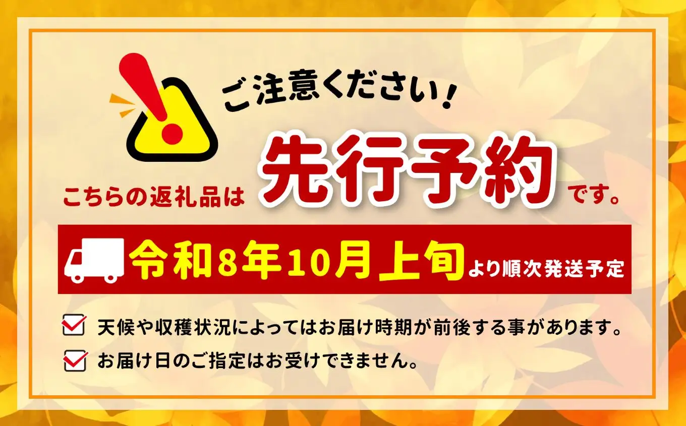 八ヶ岳西麓産 ピオーネ 2房（計1.2kg以上）【2026年10月上旬～発送】