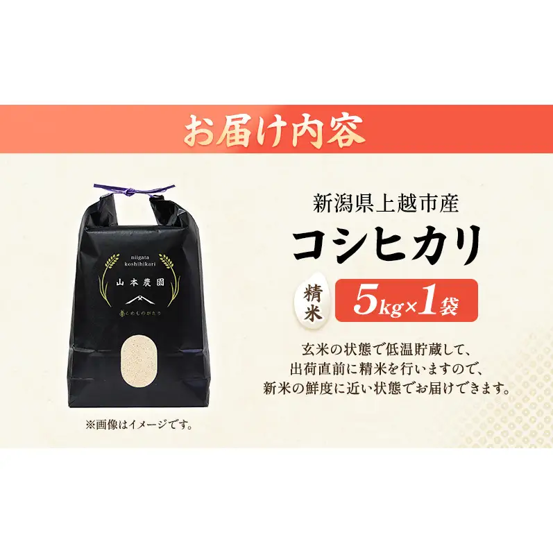先行予約 令和8年 新潟県上越市産 コシヒカリ（特別栽培米） | 5kg 5キロ 米 山本農園 ご飯 精米 新潟 上越