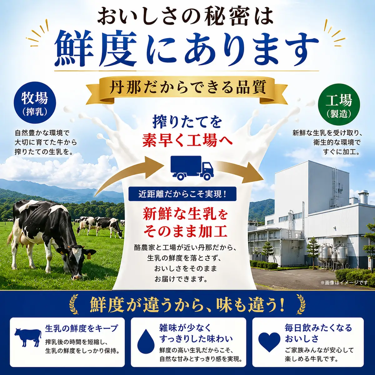 丹那牛乳　乳製品詰合せ_丹那牛乳 乳製品 詰め合わせ ヨーグルト コーヒー_【配送不可地域：離島】【1037529】