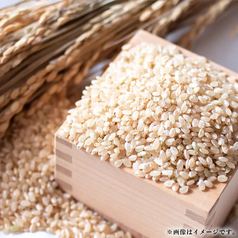 【令和7年産】いのちの壱（玄米）10kg B08-006