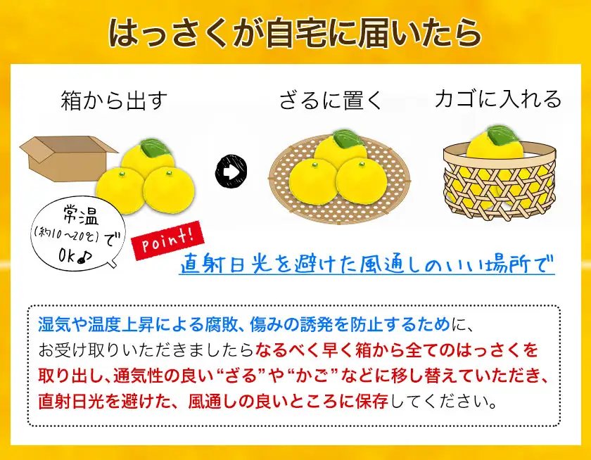 ご家庭用はっさく八朔約9kg