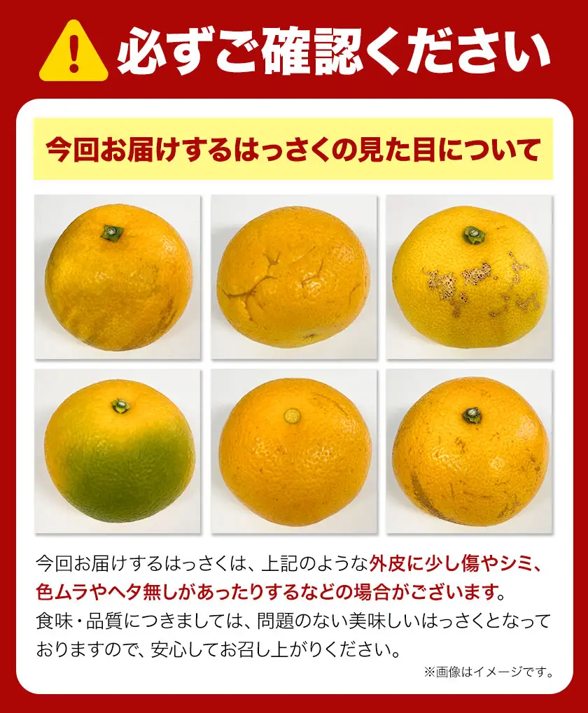 【ふるなびWEEK対象】訳あり はっさく八朔 9kg