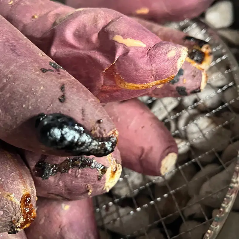 爆甘！甘みと風味が凝縮 ねっとり濃厚つぼ焼き芋 6本 やきいも おやつ デザート スイーツ 福島県 白河市 F25R-162