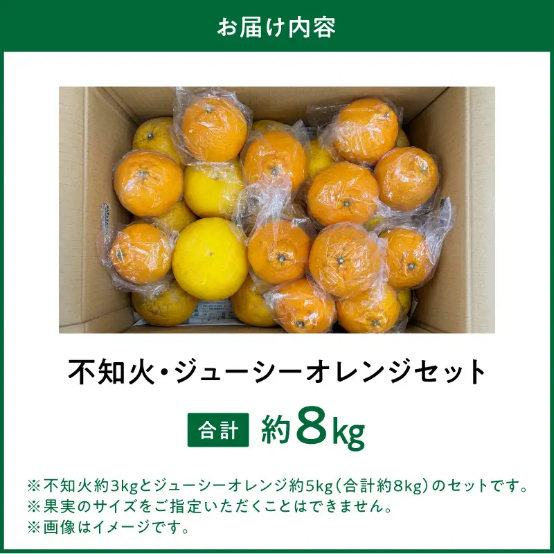 S086-009_【数量限定】井手尾さん家が丹精込めた天草の不知火とジューシーオレンジ 計約8kg