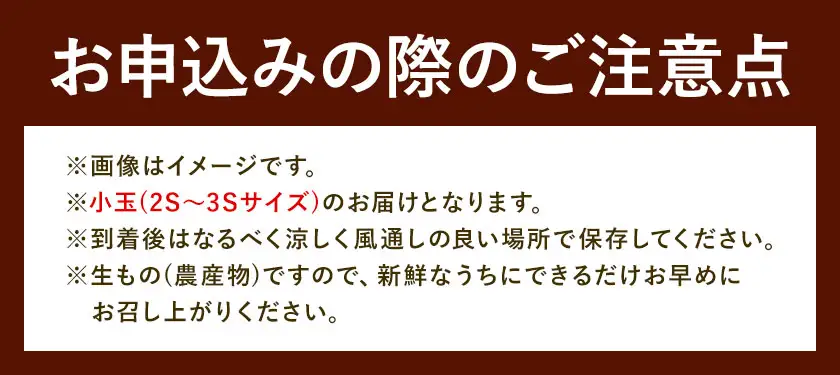 みかん 温州みかん ご家庭用 5kg 小玉 2S～3Sサイズ GOGO農園