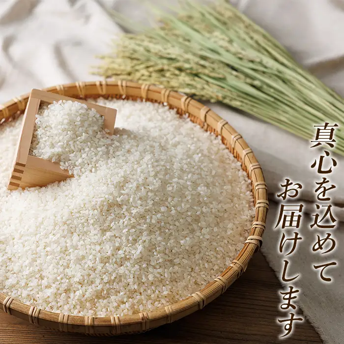 a1104-B 姶良市産 あきの舞！ 白米(5kg)【アグリベースAIRA】姶良市 米 お米 白米 精米 あきの舞
