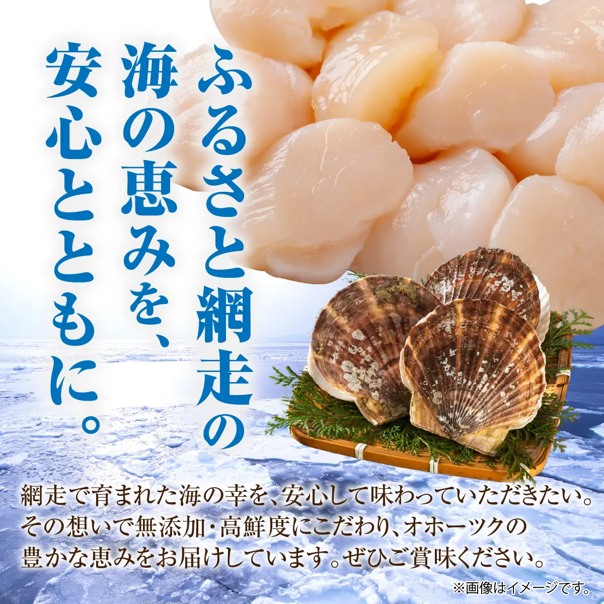 ＼ 数量限定 ／【訳あり】ホタテフレーク 網走前浜産 無添加ホタテ貝柱 600g（300g×2）ABAI044｜ほたて ホタテ 帆立