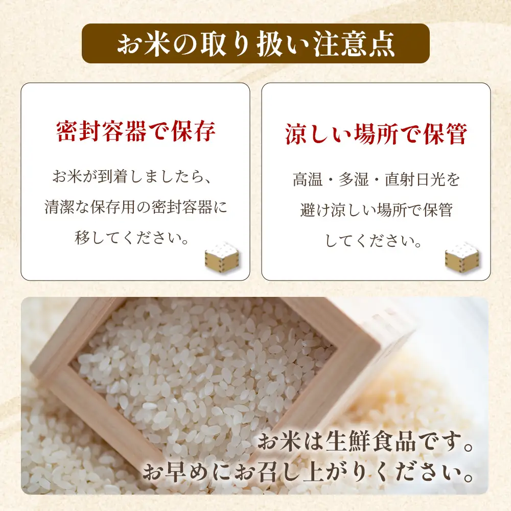人吉球磨のお米「ひのひかり」無洗米10kg  精米 お米 ご飯 熊本県 ヒノヒカリ お米 精米 こめ コメ 国産 ブランド米 053-0510