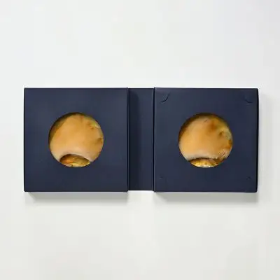 ふかひれステーキ 145g×2枚入 フカヒレ ふかひれ ステーキ 中華 贅沢 ヨシキリザメ コラーゲン 気仙沼 肉厚 簡単調理 小分け 【株式会社石渡商店】ta677