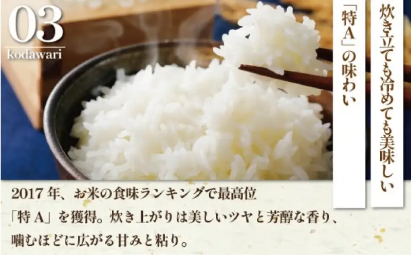 お米 特A ランク 令和8年度産 ｜ はるみ 5kg お米