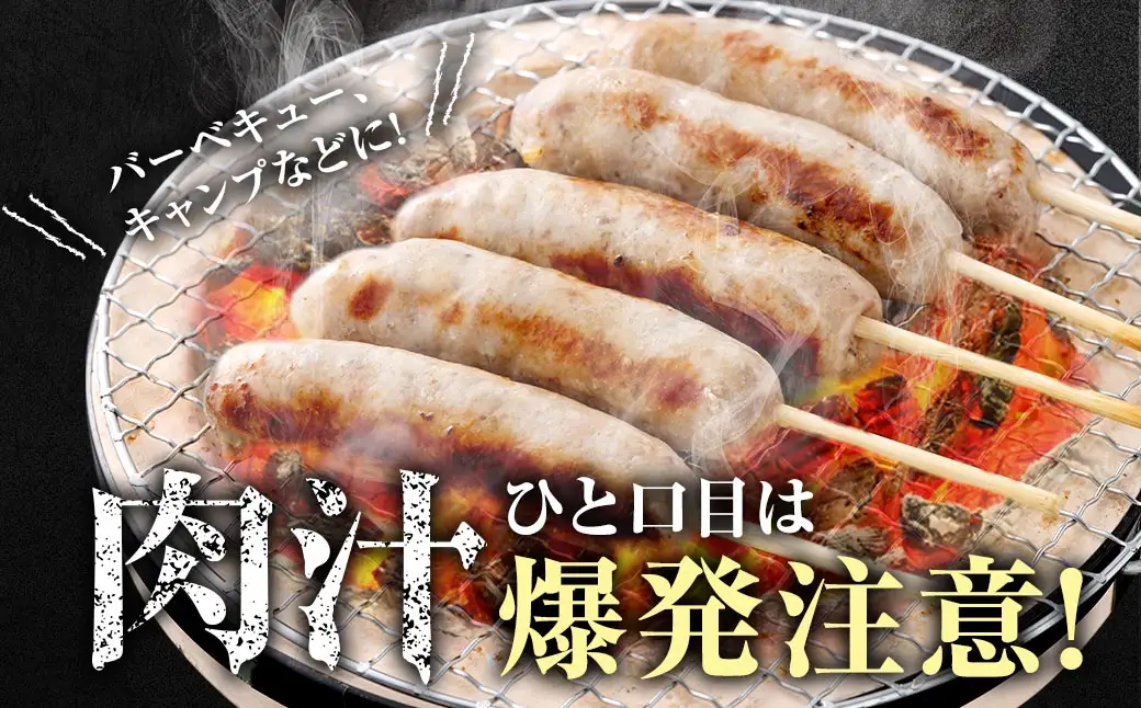 美河フランク （ 生フランク ） 5本入 ( 475g × 2パック )  計950g