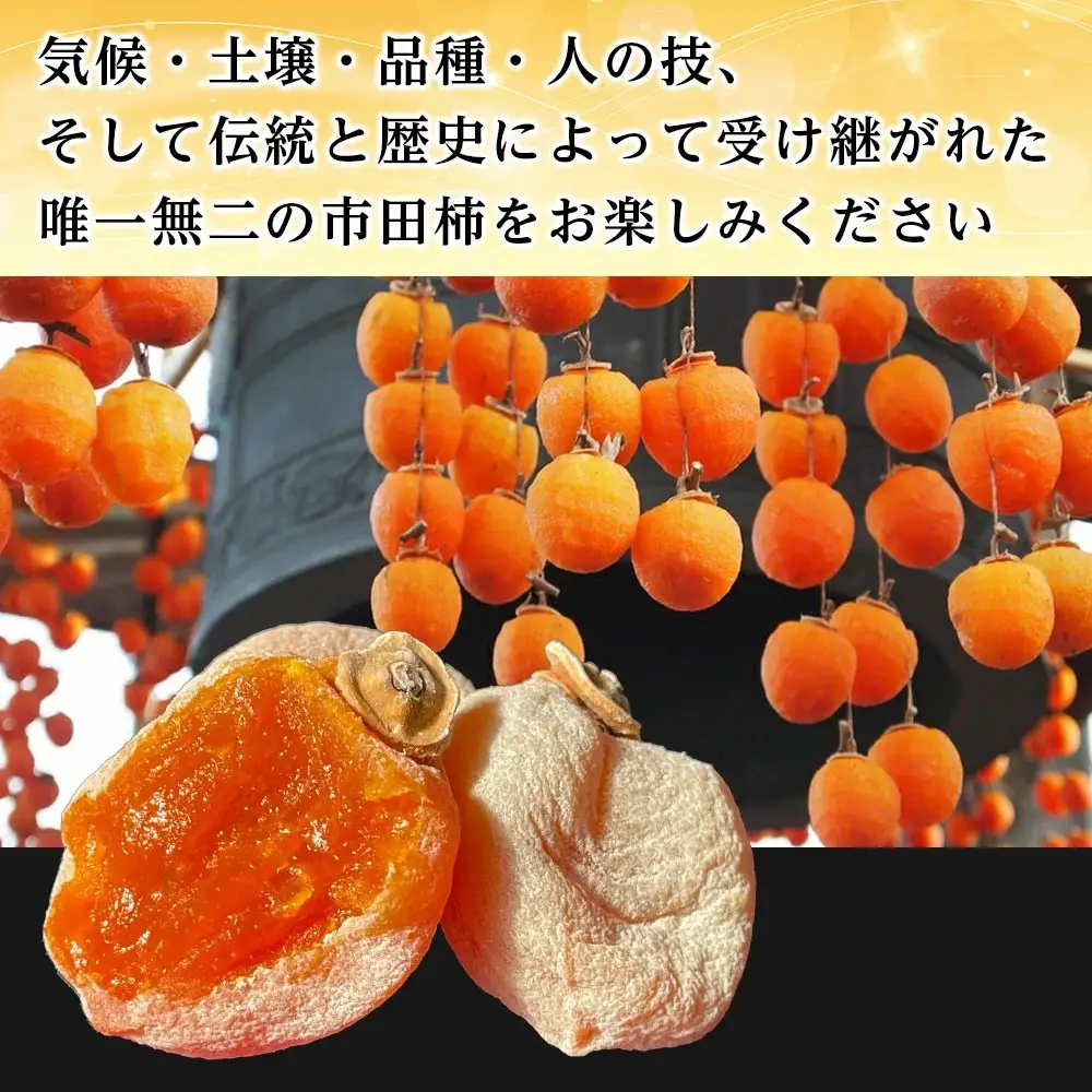 【市田柿専門店 金の柿】黒箱「特秀品」2Lサイズ20個入り×2＜2027年1月発送開始＞