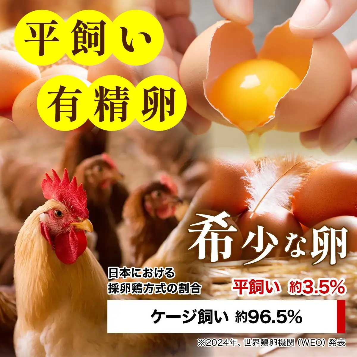  ＜定期便・全12回＞鮮度AA級の世界最高ランク！金太郎卵 平飼い たまご 30個（6個×5パック）