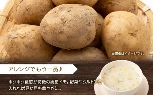 北海道男爵いも クリームスープ 3袋入×4箱 計12食 オニオン スープ いも 芋 イモ じゃがいも ジャガイモ 男爵イモ 男爵いも 男爵芋 野菜 クリーム レトルトスープ 北海道 小樽市