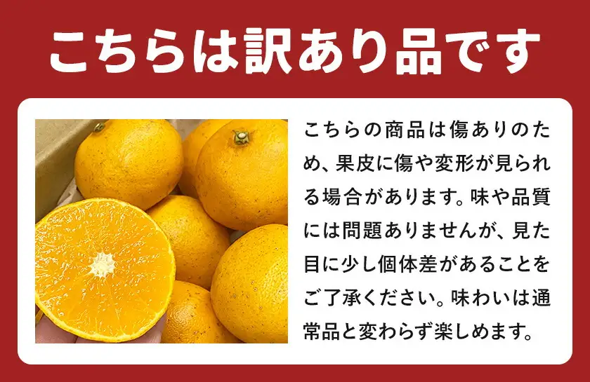 せとか 訳あり 5kg