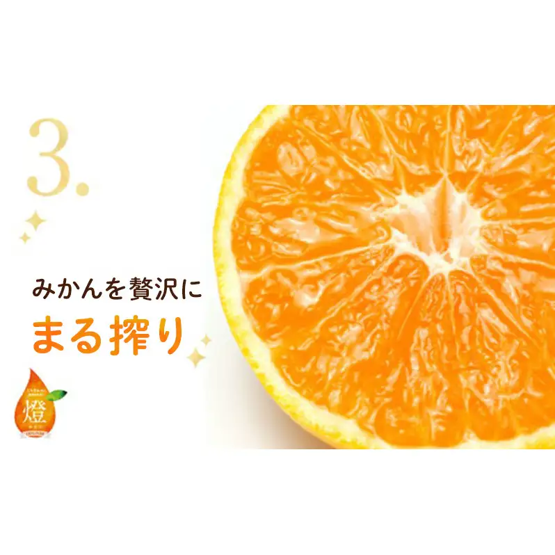 三ヶ日みかん生搾りジュース燈（あかり）【180ml×12本入】 みかん ジュース 濃厚 三ヶ日みかん青島 生搾り 100%ジュース 静岡 浜松市