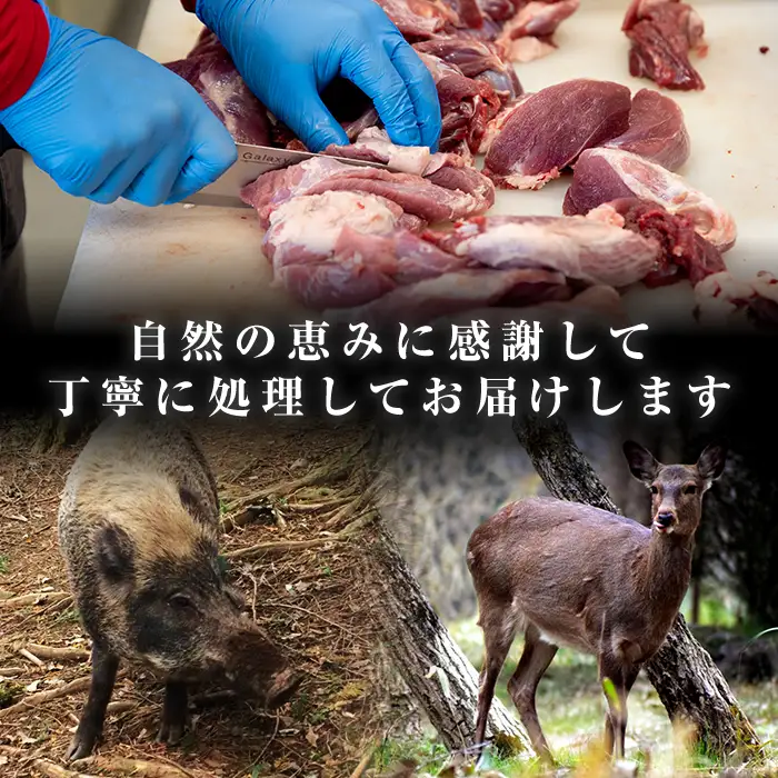 《毎月数量限定》 鹿児島県 出水市産 大幸 鹿肉 ペット用 ジャーキー 50g×2P 計約100g 【大幸】 i1353