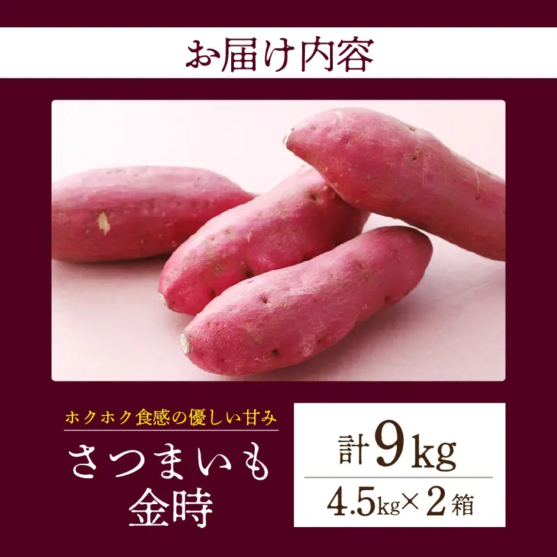 【ホックホク食感の優しい甘み】さつまいも金時 4.5kg 2箱・H117