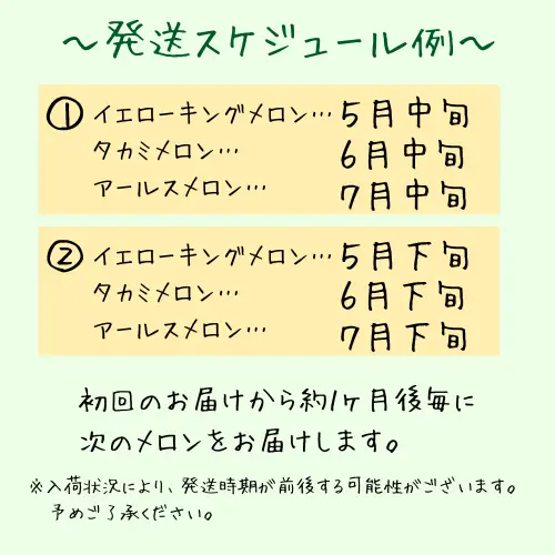 青果市場の野菜ソムリエ厳選 ジューシー メロン 3兄弟 定期便 全3回