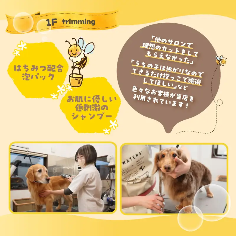 【TOWATERAメンバーズ】ドッグラン、ペットホテルなどをお得に利用できる「トワるん」会員入会| ペット 常滑市