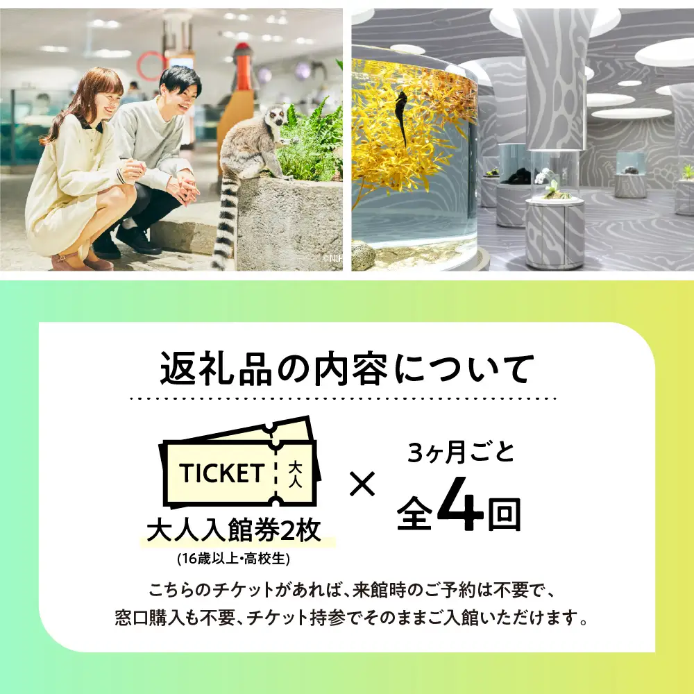 【3カ月ごとお届け】ニフレル入館券 大人2枚 全4回 