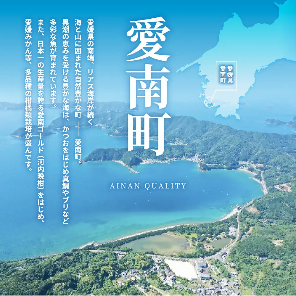 【先行予約：2026年12月中旬～発送】 訳あり 土佐文旦 8kg くらもとファーム 愛媛県 愛南町