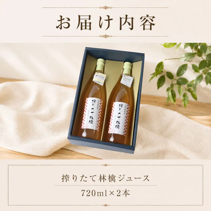 搾りたて林檎ジュース 720ml×2本 佐々木果樹園 乙部角屋 otobe001 りんごジュース