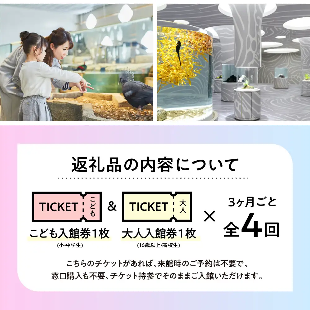 【3カ月ごとお届け】ニフレル入館券 大人1枚+こども1枚 全4回 