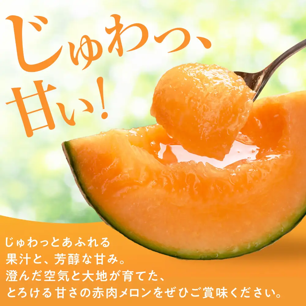 【先行予約】秀品 北海道産赤肉メロン約1.6kg×2玉 (2026年7月中旬から発送開始)  メロン _05926