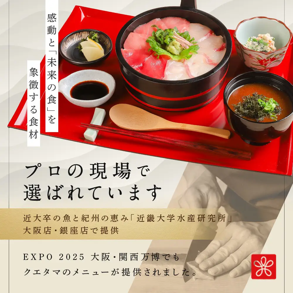 近大クエタマ鍋セット1kg（2027年2月上旬～2月中旬発送）