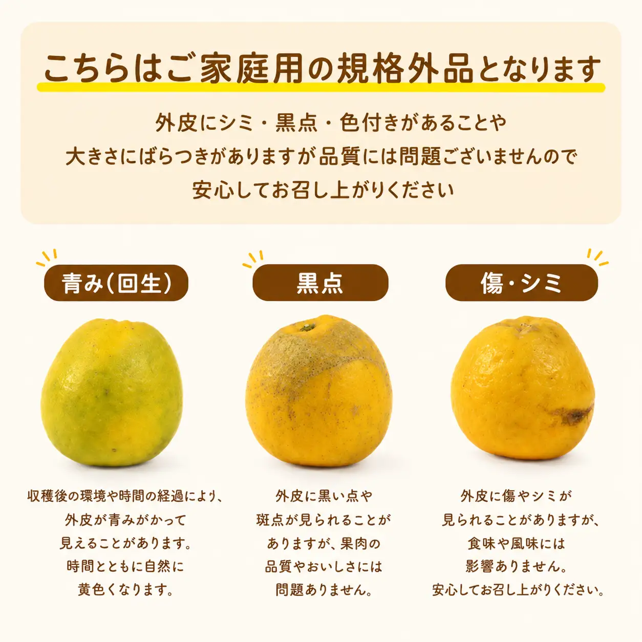 河内晩柑 (愛南ゴールド) 大玉小玉ミックス 9kg 河内晩柑 愛なんよ ainanyo021