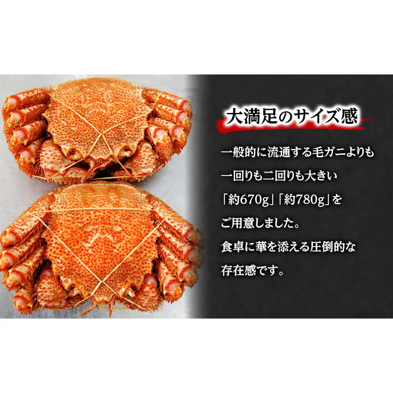 冷凍ボイル毛がに 約780g×1尾 毛ガニ