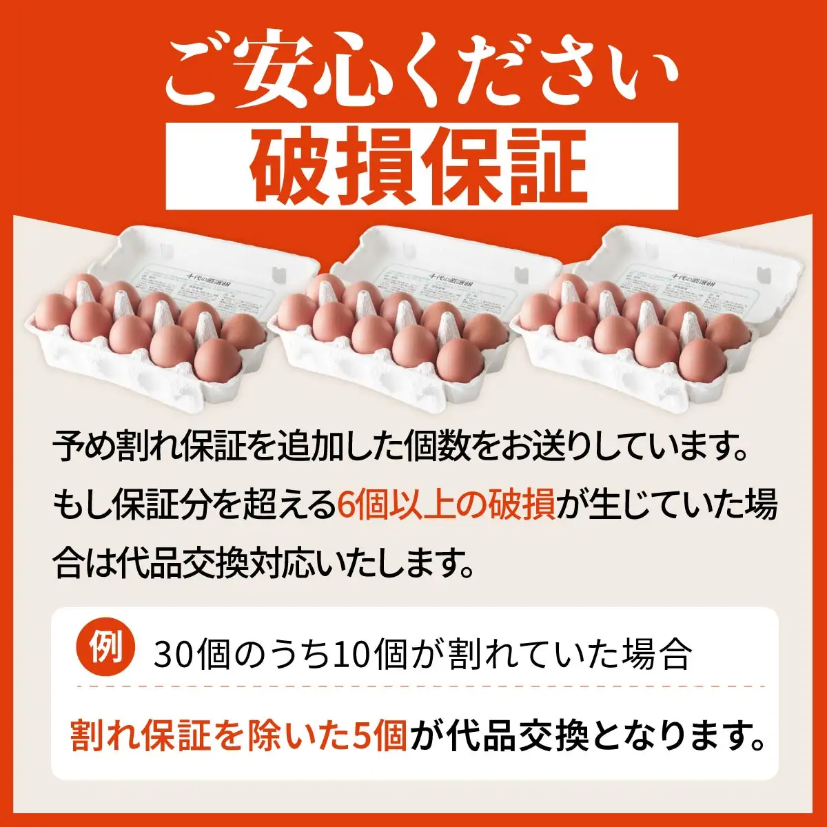 卵 朝取り 厳選卵 30個 割れ保証付き