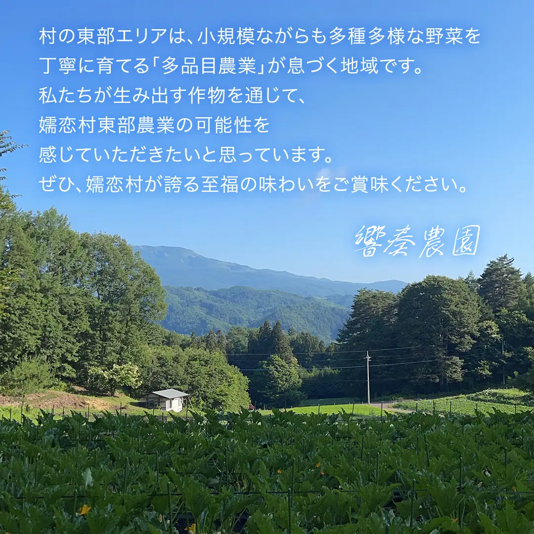 【7月下旬発送開始】とうもろこし ゴールドラッシュ 3kg （7～8本） [BT002tu]