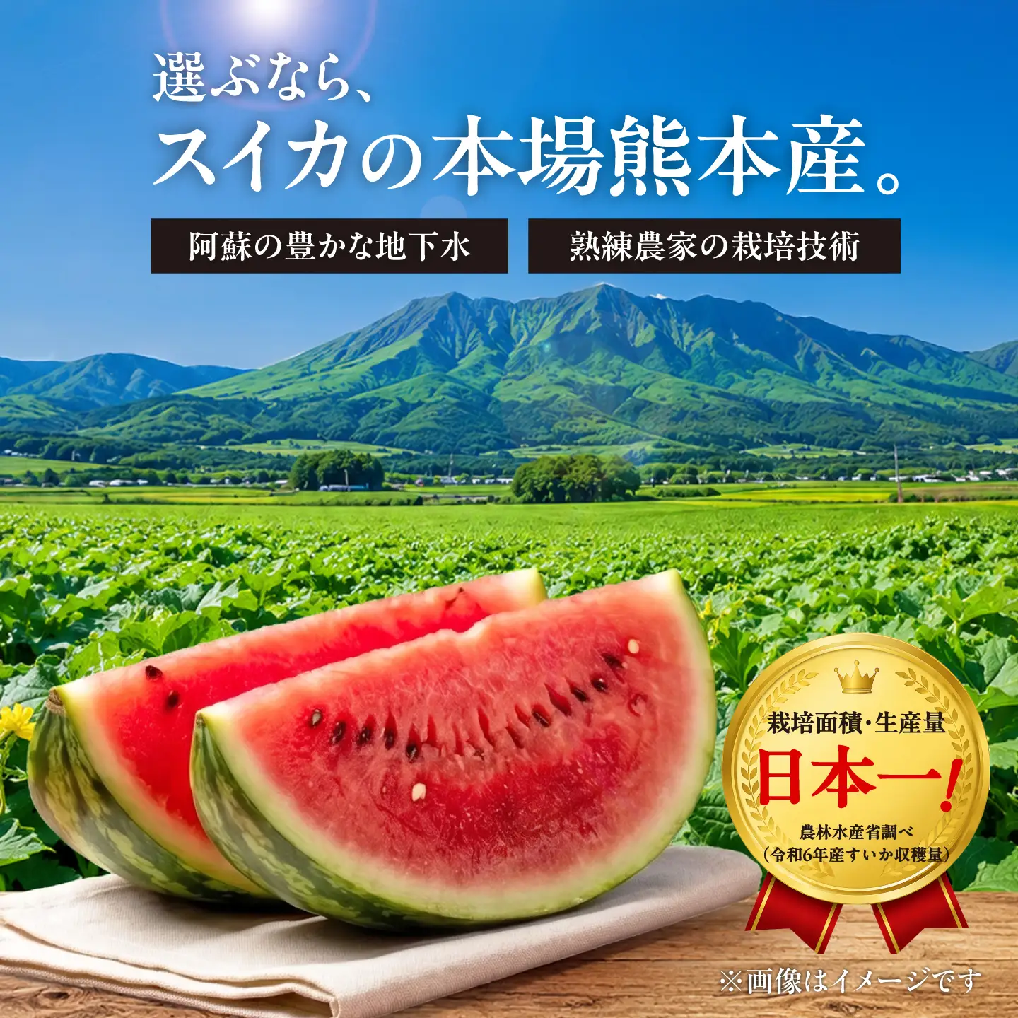 【先行予約】小玉 すいか 1玉 ひとりじめ 計2kg【合同会社 福福堂】[ZCN021]