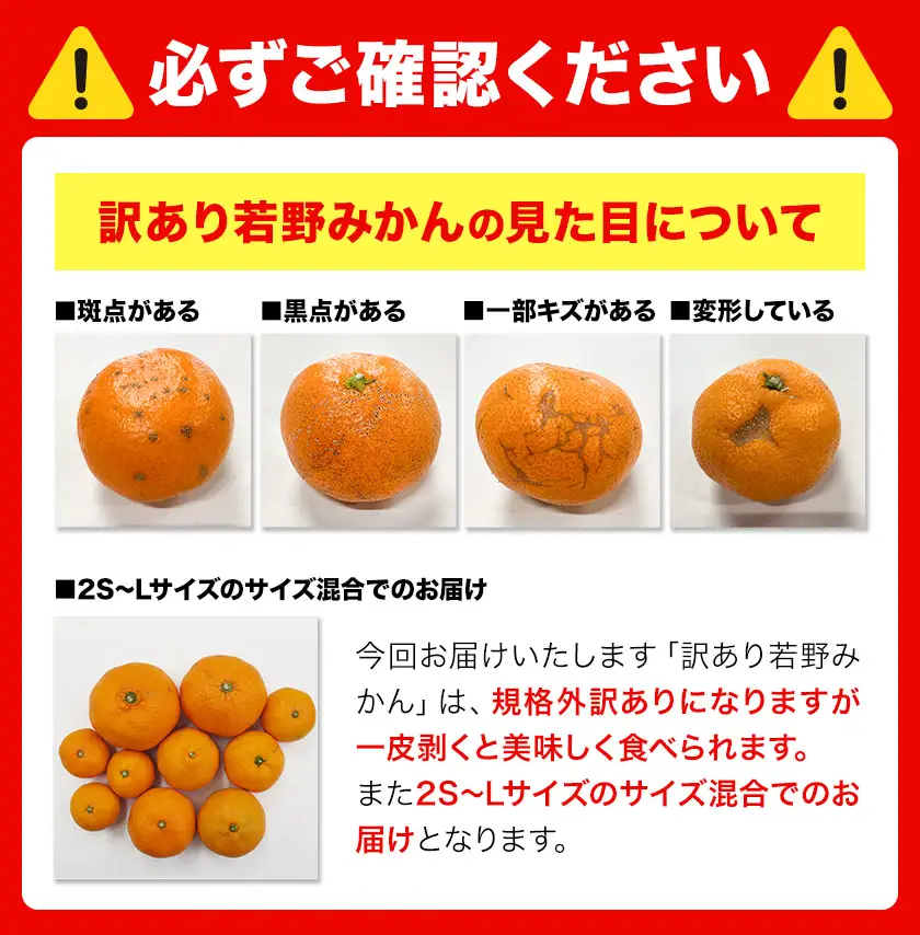 訳あり 若野みかん (2S～Lサイズ)  約3kg マルエイ農園