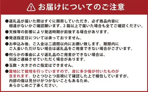 【先行受付】 特選 みかん 5kg 糖度保証 12度！ 【2026年12月上旬から12月下旬発送予定】 温州みかん 果物 フルーツ ミカン 蜜柑 柑橘