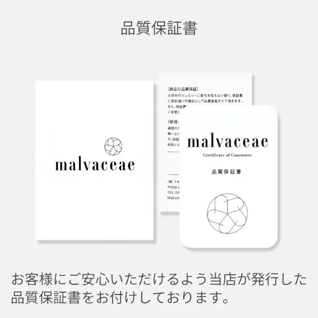 コンビカラー フープピアス large /a0440mt