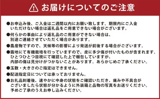 【先行受付】 有機JAS 新玉ねぎ 5kg 玉ねぎ 新たまねぎ 玉葱 たまねぎ 新玉 新玉葱 野菜【2027年3月上旬から4月上旬発送予定】