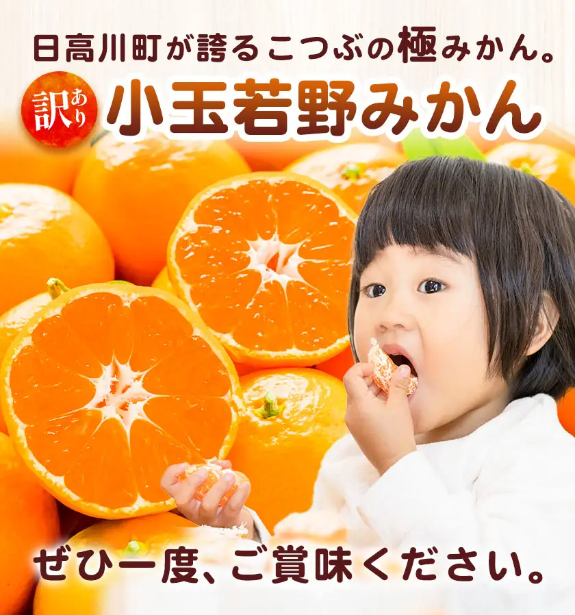 訳あり 小玉若野みかん (2S-3Sサイズ)  約3kg マルエイ農園