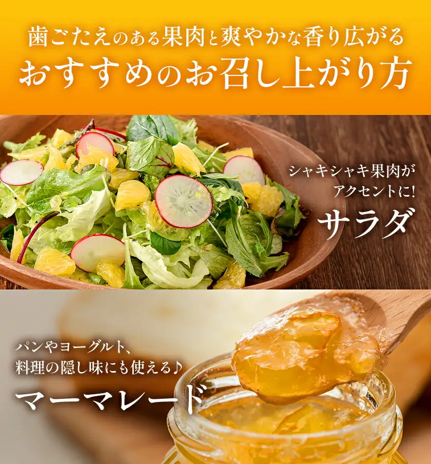 八朔 約10kg (約30玉前後) 農園誉 はっさく