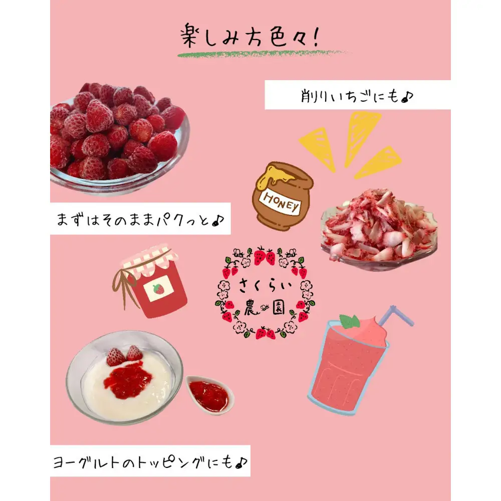 先行受付【2027年1月下旬～発送予定】【訳アリ 冷凍いちご】静岡県産の完熟紅ほっぺを使用した冷凍いちご大容量3kg!【静岡県産】