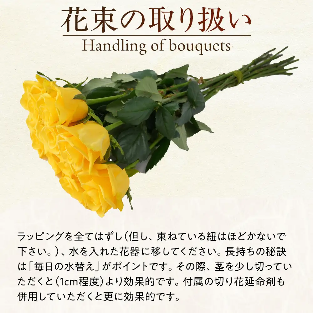 【3か月定期便】フローリストおすすめローズ約12本　（毎月お届け）