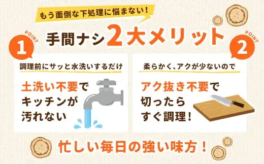 鹿児島県産 洗い【細い】 ごぼう 約3kg 【規格外・訳あり品】【2026年12月上旬-3月下旬発送予定】 ZS-9101