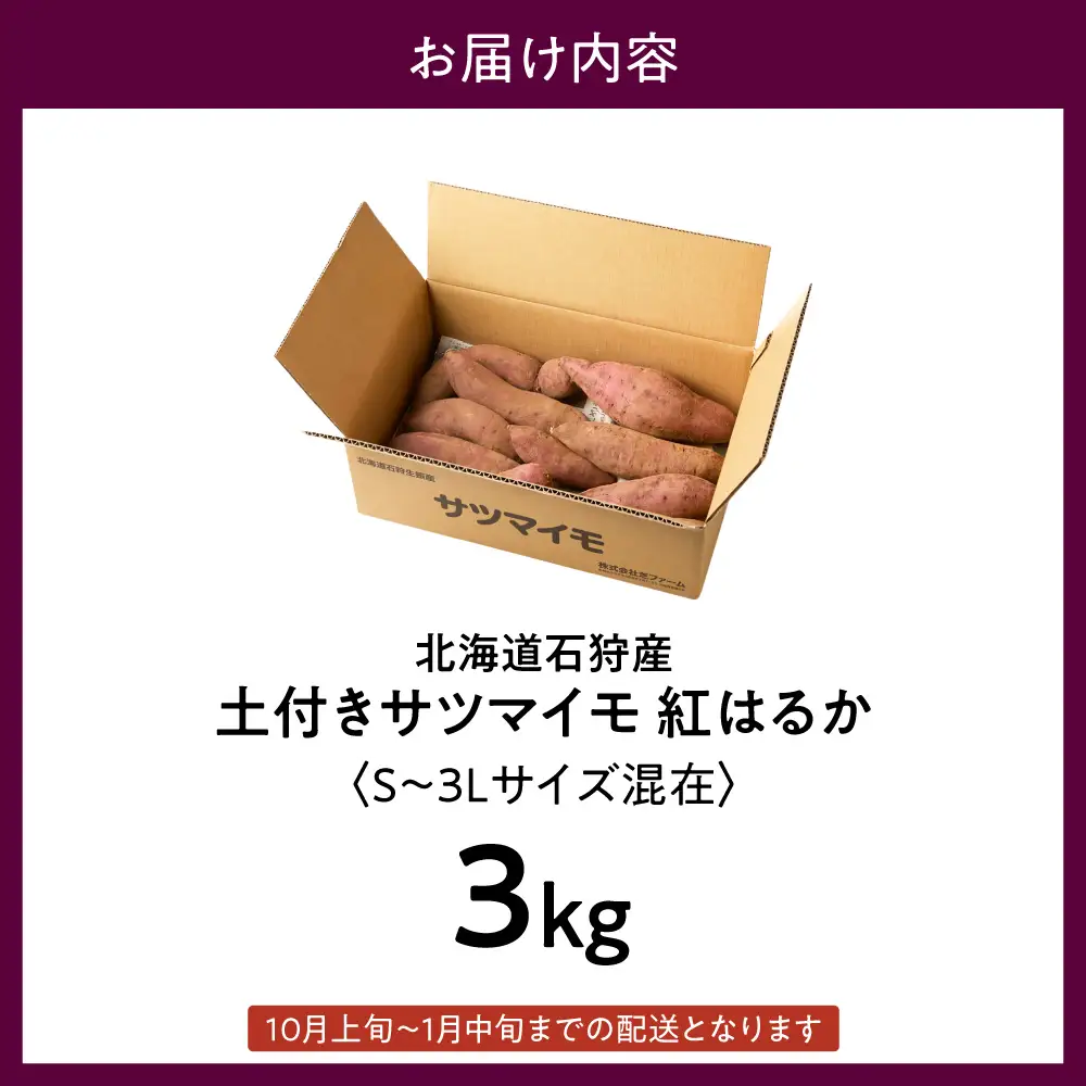 【先行予約】石狩産 土付サツマイモ 紅はるか（S～3Lサイズ混在） 3kg【10月発送】｜野菜 さつまいも 北海道 石狩市