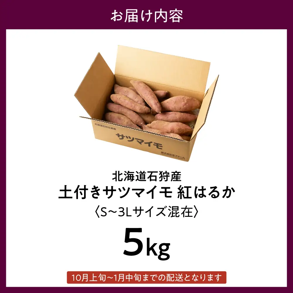 【先行予約】石狩産 土付サツマイモ 紅はるか（S～3Lサイズ混在） 5kg【10月発送】｜野菜 さつまいも 北海道 石狩市