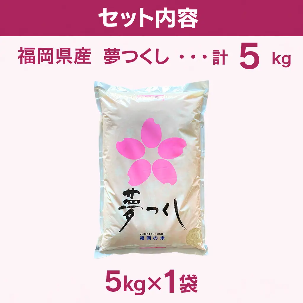 【令和7年産】 福岡県 大木町産 夢つくし 5kg　BC03_2