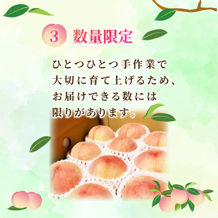 【先行予約・数量限定】大子町産「桃」約3kg 品種おまかせ（あかつき・まどか・美郷 等）｜茨城県 大子町 令和8年産 もも モモ フルーツ 果物 おまかせ 詰め合わせ 産地直送 旬 人気 厳選 奥久慈りんご園（AI008）