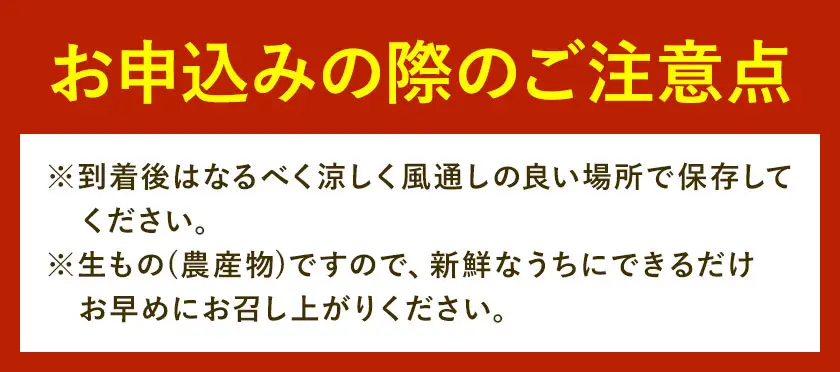 紅八朔 厳選 Mサイズ 約10kg GOGO農園 八朔